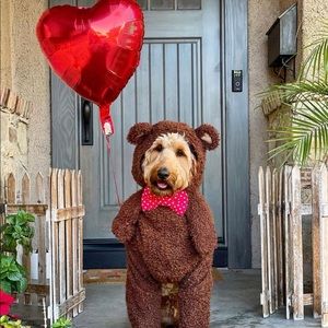 Meet your Posher, Michael